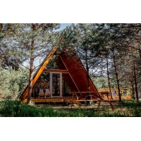 Редкие животные Беларуси, которых можно встретить в Красном Бору